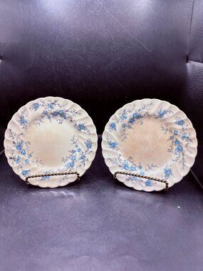 Myott England Forget Me Not Set of 2 Plates - Blue Floral Fine Staffordshire War